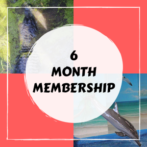 6-Month Membership